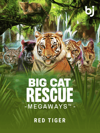 Big Cat Rescue Megaways icon